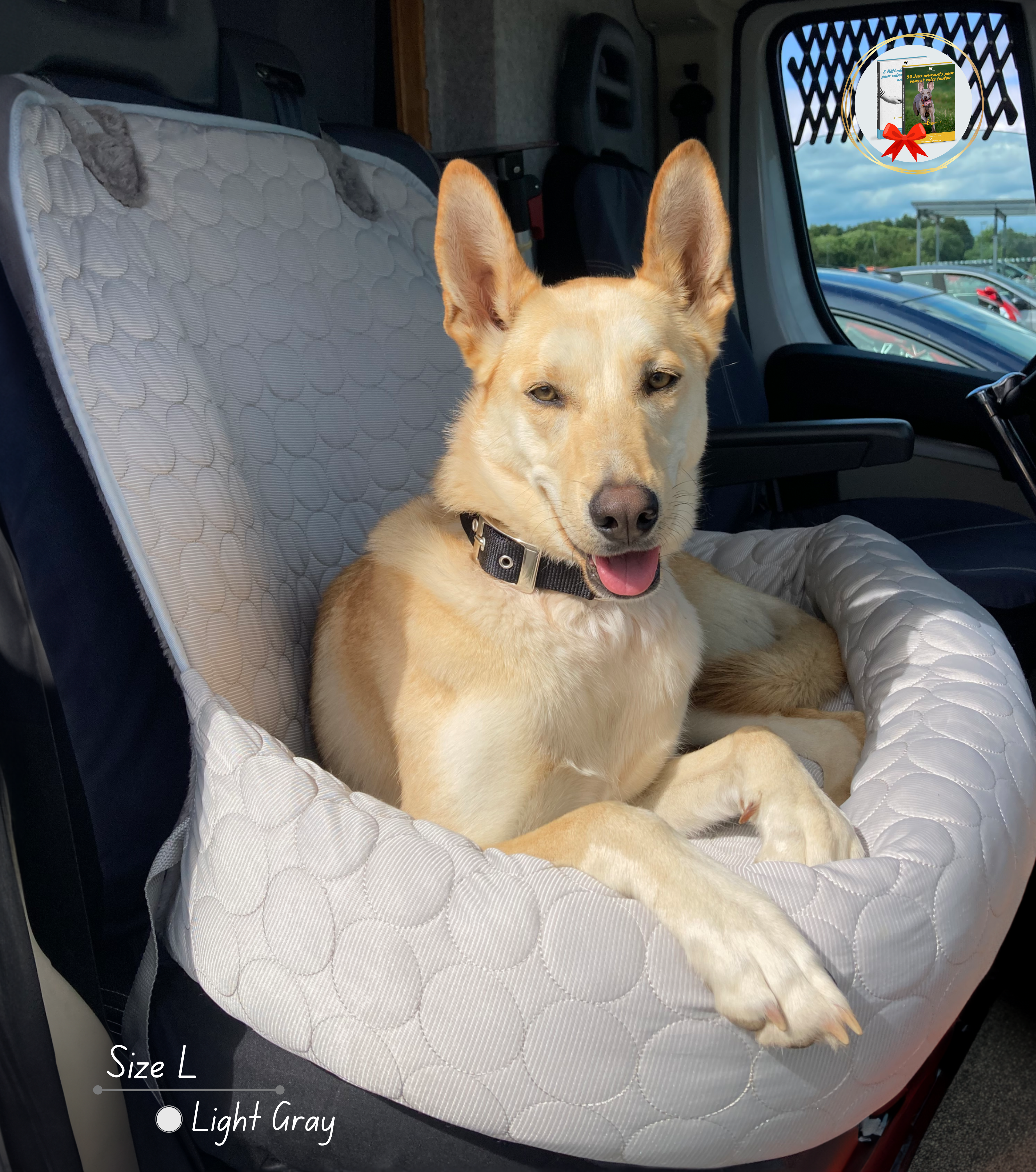 PawCool™ - 2-in-1 Refreshing Car Seat Cushion