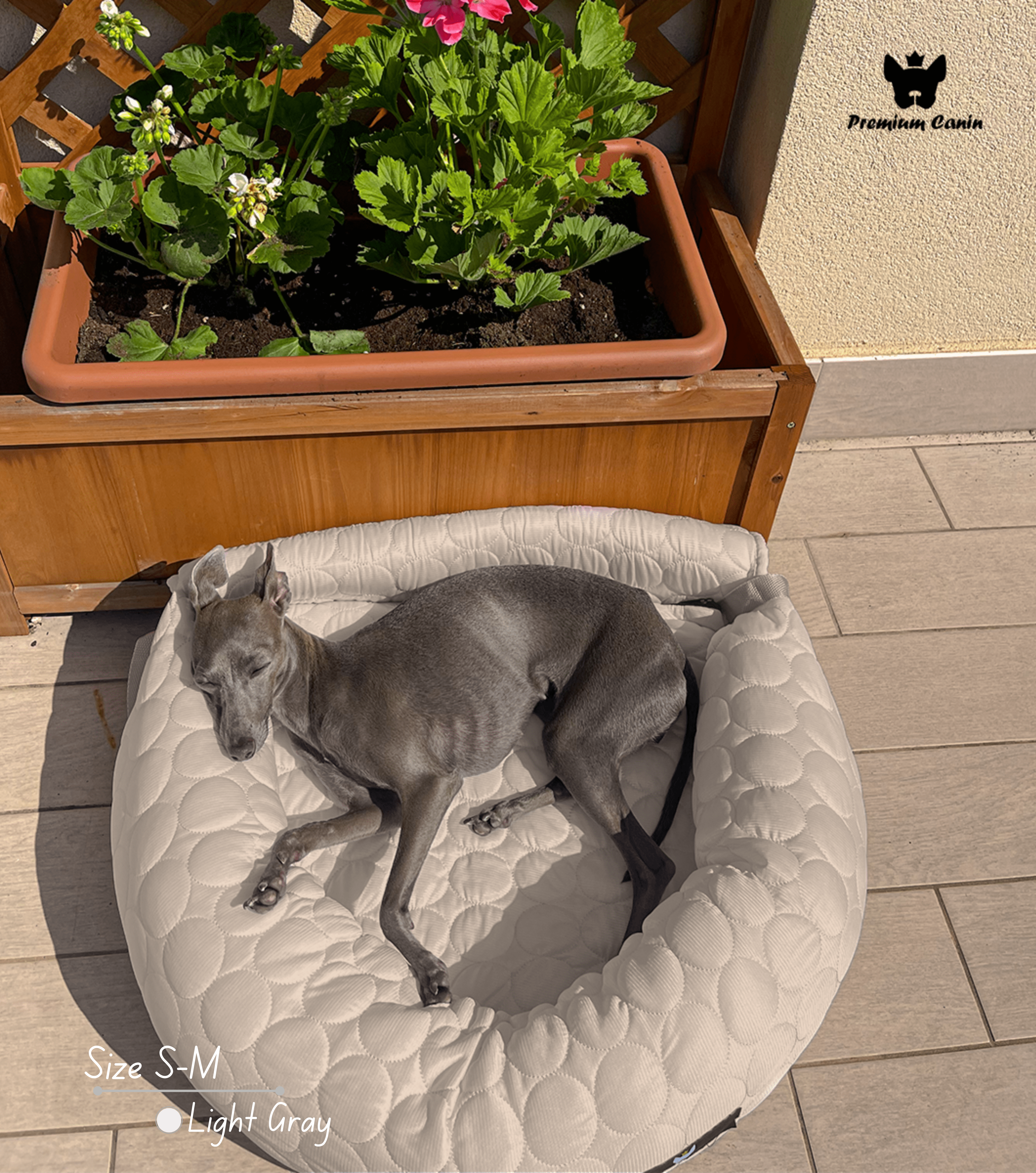 PawCool™ - 2-in-1 Refreshing Car Seat Cushion