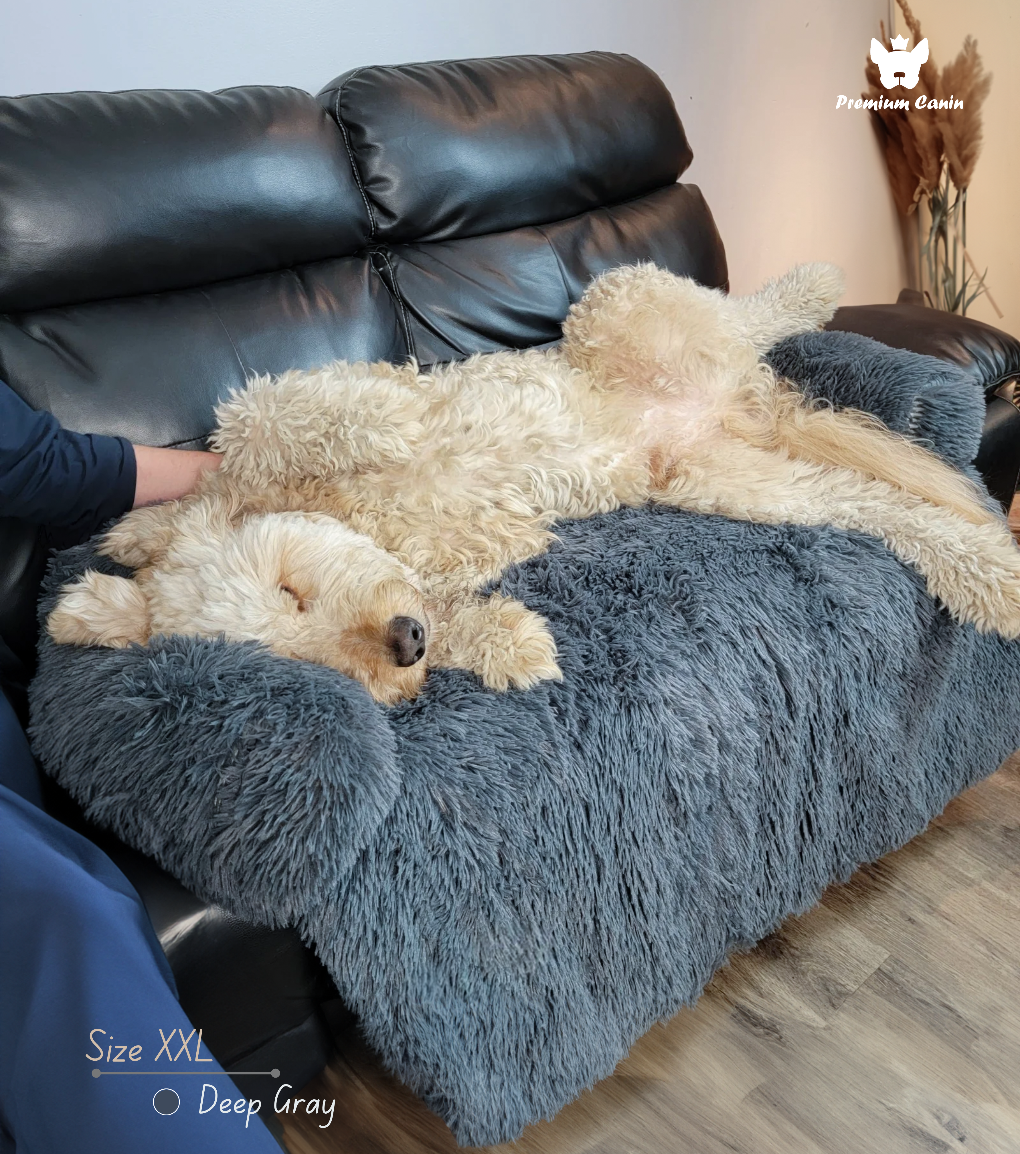 FLUFFY™ - Soothing and Removable Furniture Protector