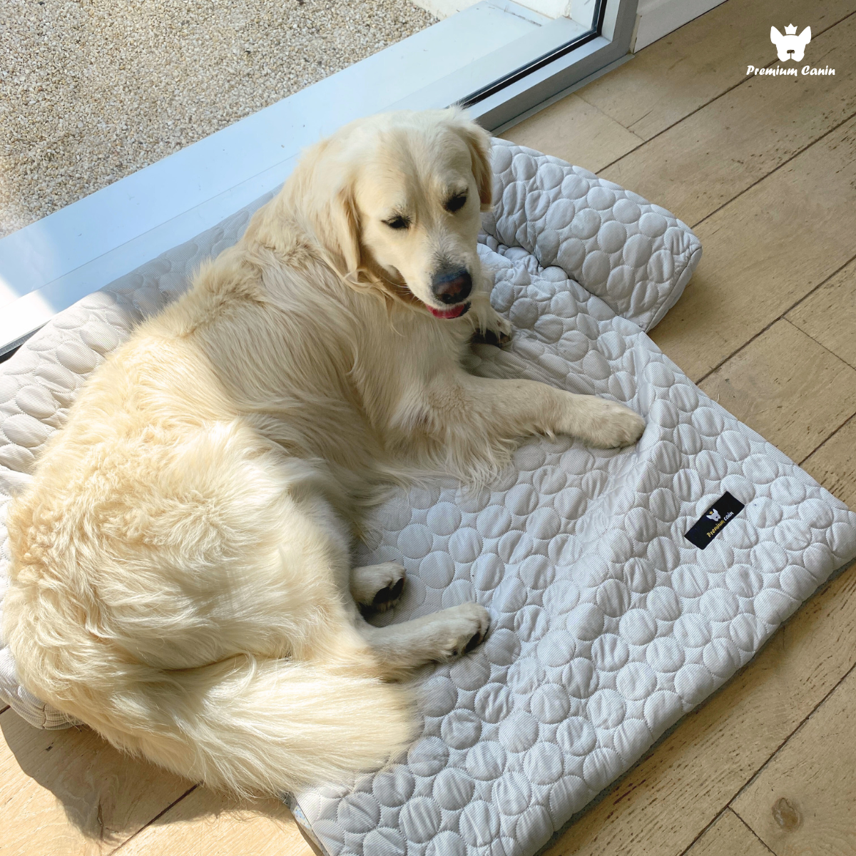 FreshChill™ - Removable Refreshing Furniture Protector