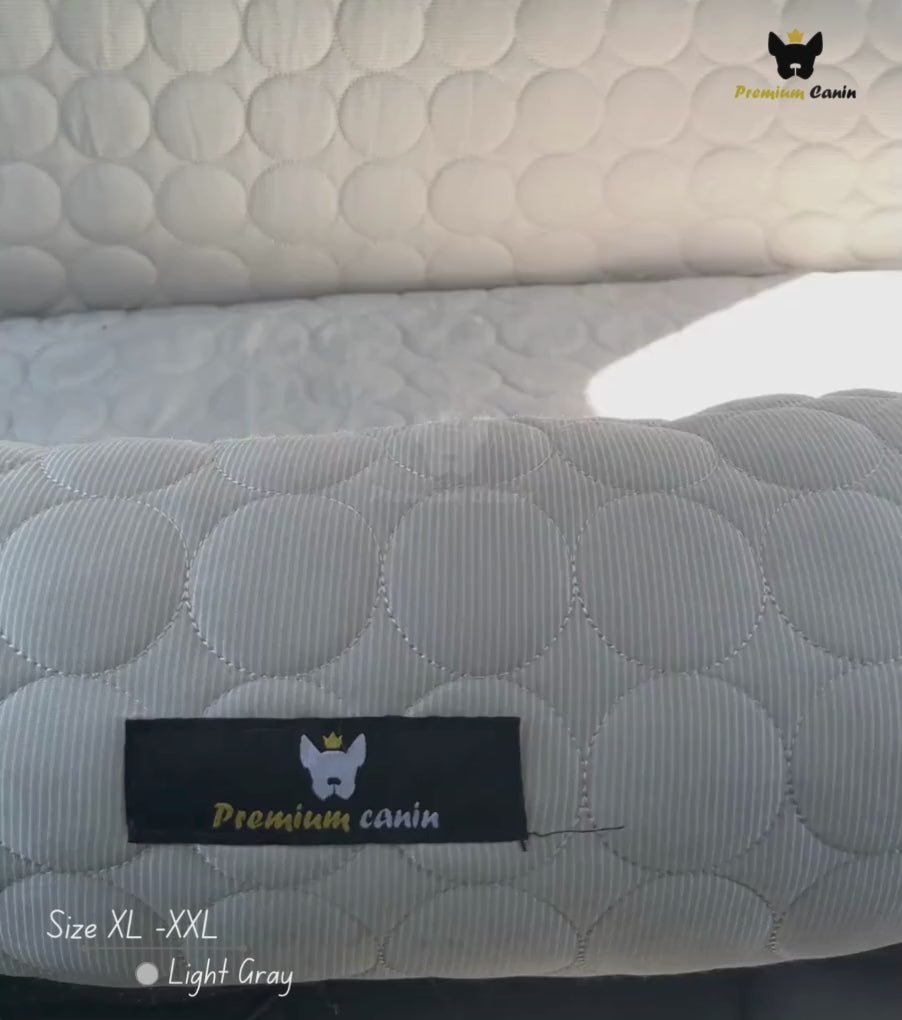 PawCool™ - 2-in-1 Refreshing Car Seat Cushion